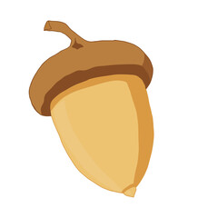 Oak Acorn Illustration for Autumn and Nature Theme © Anik