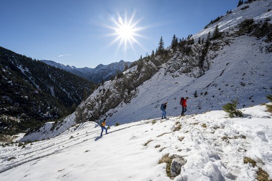 Mountaineer on hiking trail in winter with snow, path to Ammergauer Hochplatte, Ammergau Alps, Bavaria, Germany