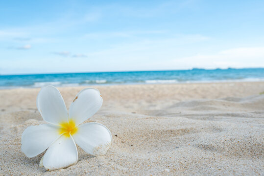 Beautiful sea summer ,Sand beach background