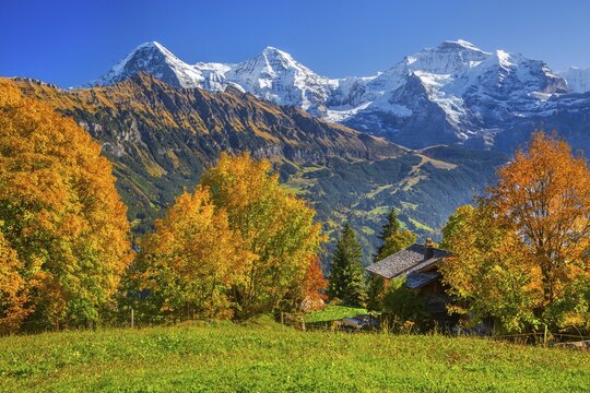 Autumn landscape in the hamlet of Sulwald with Eiger 3967m, M&ouml;nch 4110m and Jungfrau 4158m, Isenfluh, Lauterbrunnental, Bernese Oberland, Canton of Bern, Switzerland