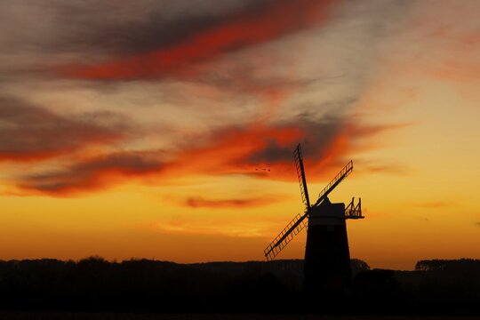 Pink-footed goose (Anser brachyrhynchus) three adult birds in flight in a flock or skein over a windmill at sunset, Burnham Ovary Straithe, Norfolk, England, United Kingdom