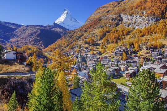 View of the village with Matterhorn 4478m and golden yellow larches in autumn, Zermatt, Mattertal, Valais, Switzerland