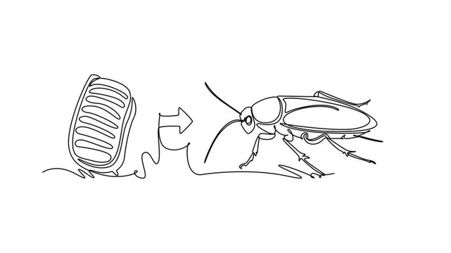 A cockroach hatches from an egg case and matures into an adult.Metamorphosis concept. Single line draw design. Full length animation illustration. High quality 4k footage