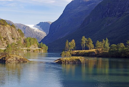 Row of trees reflected in a lake, mountains and glaciers, Lovatnet, Stryn, Vestlandet, Norwrgen