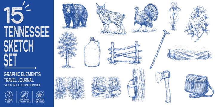 Tennessee travel journal collection. Hand drawn Smoky Mountains heritage elements. Black bear, tulip poplar, fishing creel, misty mountain ridge, moonshine jug. Trendy sketch vector set