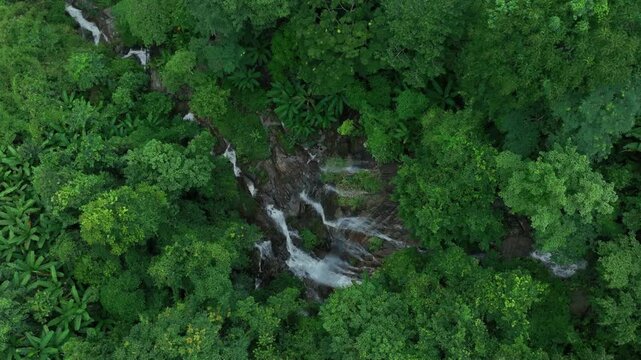 Aerial view of deep tropical rainforest with waterfall surrounded by lush tropical forest and towering cliffs streams of water into deep canyon, Lush green trees in forest with natural stream.