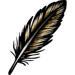 feather isolated on white background © khalwa