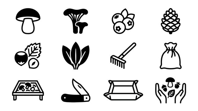 Slovak minimal line art pictogram icons for mushroom picking and foraging outdoor activity