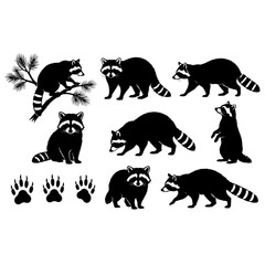 Obraz premium Raccoon Silhouette Collection with Paw Prints Vector Set.