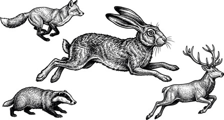 Obraz premium Retro woodcut style running wild animal graphics collection including jumping rabbit galloping buck and sprinting fox drawing elements