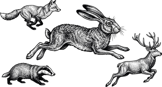Retro woodcut style running wild animal graphics collection including jumping rabbit galloping buck and sprinting fox drawing elements