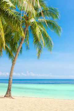 coconut palms on the sand of a tropical island, sea with turquoise water and blue sky