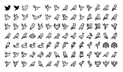 Obraz premium Title: Professional Bird Icon Symbol Vector Set with Editable Stroke for Graphic and Web Design