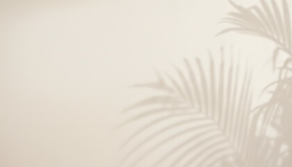 Fototapeta premium A serene and peaceful background with a palm tree shadow on a beige wall