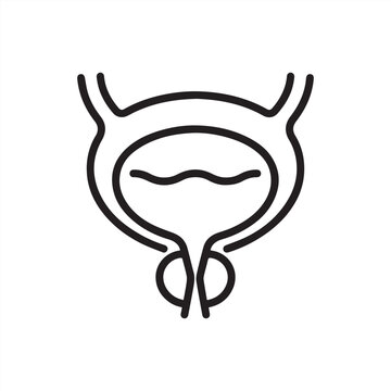 Enlarged Prostate Icon. Line Illustration of a Prostate Gland, Symbolizing Benign Prostatic Hyperplasia (BPH) and Men's Health Issues. For Medical Education and Healthcare. Isolated Vector Sign.
