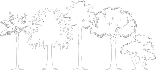 Collection of various palm tree silhouettes in linear style against a transparent background for design and illustration. © MD ALI STOCK