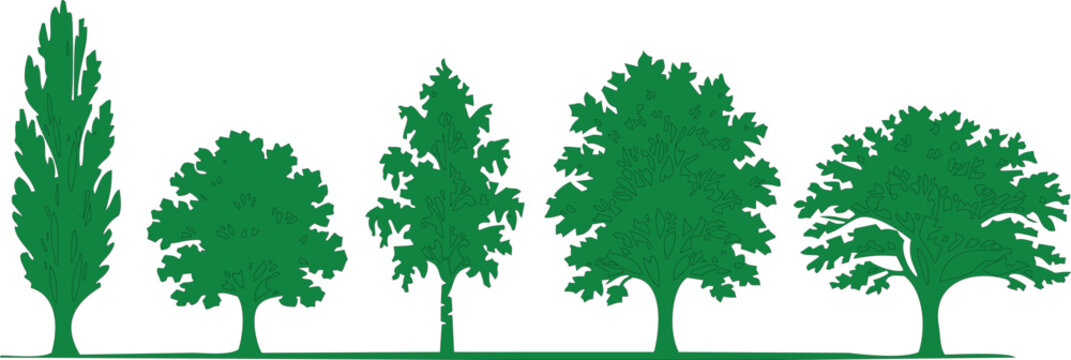 Green deciduous trees silhouettes, variety of shapes and sizes, isolated on white background for landscape design.