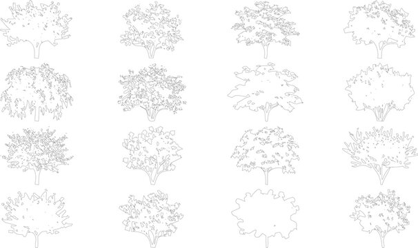 Grid of 16 simple tree outlines with transparent background, perfect for minimalist design and illustration concepts.