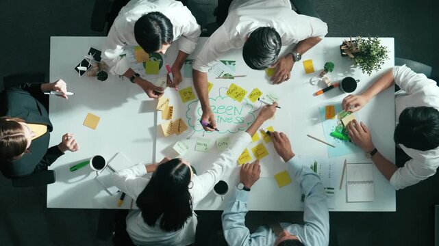 Time lapse of skilled business team working together to brainstorm environmental idea by using mind map. Aerial view of skilled manager talking and discussing about sustainable energy. Alimentation.