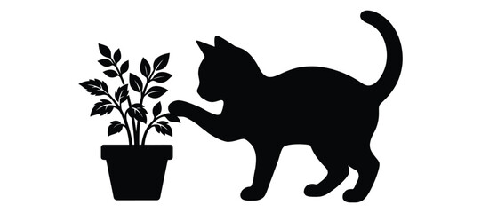 Silhouette of a cat playing with a potted plant © Creative SA