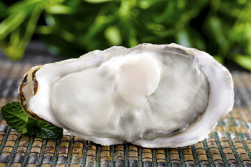 Fresh Oyster with Milky White Meat on Bamboo Mat - Gourmet Seafood Studio Photo © NguyenThi