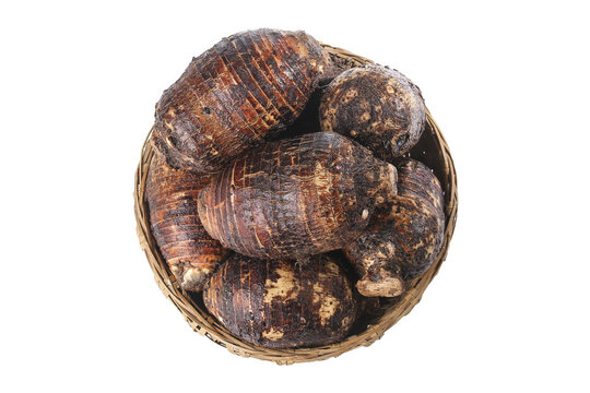 Fresh Lipu Taro Roots from Guangxi China in Wicker Basket Studio Photography