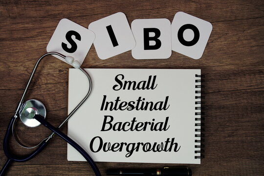 SIBO Small Intestinal Bacterial Overgrowth text written on notepad with stethoscope on wooden background