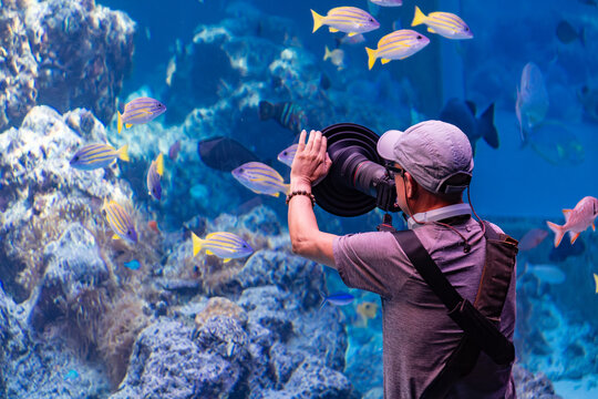 Okinawa, Japan, July 22, 2025: A photographer uses a professional light-masking filter to take a side-view shot of a school of tropical fish in front of a large aquarium tank.