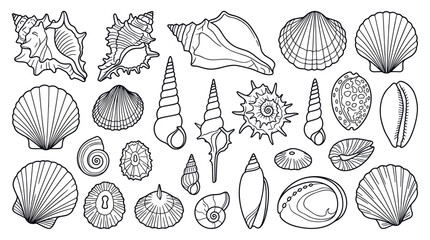 Collection of seashells coloring page illustration © togor