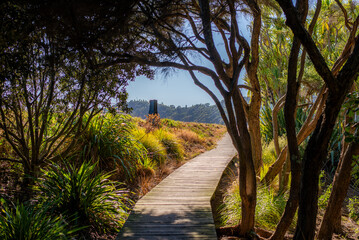Fototapeta premium New Zealand hiking
