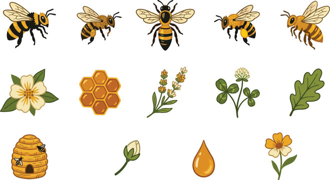 Set of cute honey bees and floral elements for nature design featuring beehive honeycomb lavender and nectar drops