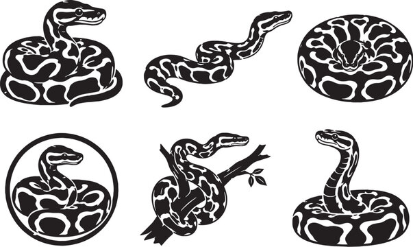 Ball Python Silhouette Icon Set Black Snake Vector Collection Wildlife Reptile Isolated Pet Python Icons