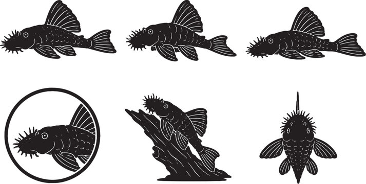 Bristlenose Pleco Silhouette Icon Set Black Vector Freshwater Aquarium Catfish Collection Isolated on White Background