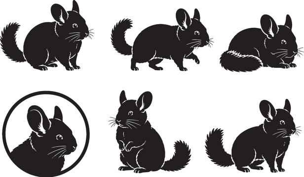 Chinchilla Silhouette Icon Set Black Vector Collection Isolated on White Background