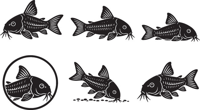 Corydoras Catfish Silhouette Icon Set Black Freshwater Aquarium Fish Vector Collection Isolated Wildlife Illustration