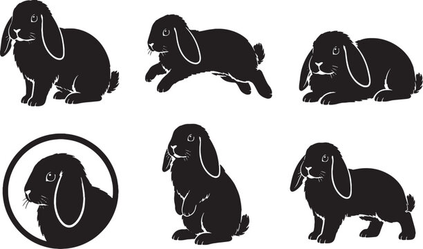 Holland Lop Rabbit Silhouette Icon Set Collection Black Bunny Vector Isolated on White Background
