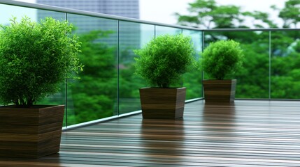 Obraz premium Three green potted plants on wooden terrace with glass railing; urban skyline blurred in the background