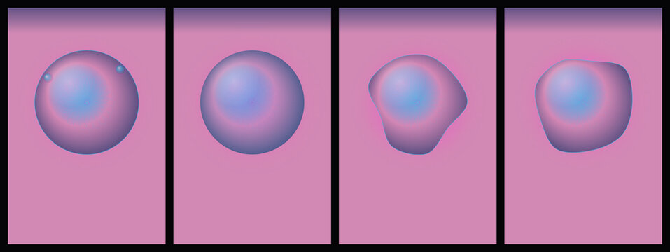 Purple cell division cycle stages in a simple flat design