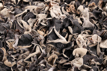 Dried Black Wood Ear Mushrooms - Thick Flesh Fungus from Northeast China Autumn Harvest © NgoVan