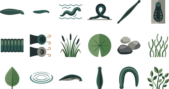 Collection of aquatic leech icons showing various movements and anatomy details with surrounding pond elements