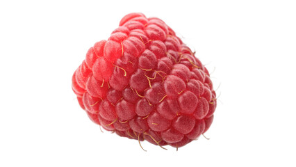 Fresh ripe red raspberry fruit berry isolated on transparent background © Hanna