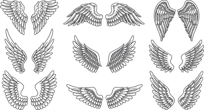 Set of hand drawn sketch angel wings vector illustrations in black outline style isolated on white background for design  elements.