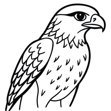 Egole, vintage, vector EGOL BIRD LOGO adobe illustrator vector file. Egol modern logo design and abstract logo. Ai generate