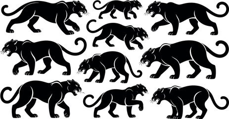 Set of black panther silhouettes crawling jumping and roaring in various aggressive poses vector illustration isolated on white background. © Raju