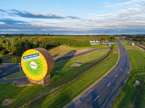 A sculpture of a giant kiwifruit slice bearing the name of the Seeka horticultural company beside a road near Te Puke, New Zealand. April 1, 2026