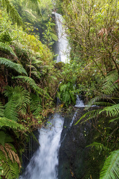 A multi-tiered waterfall on the Te Wairoa stream near Rotorua, New Zealand, cascading through native forest