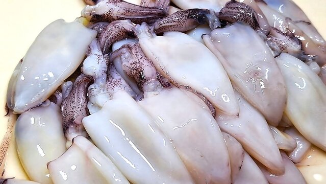 Close-up of fresh raw squids, seafood background.