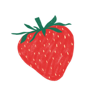 Hand Drawn Red Strawberry Illustration Isolated on White Background