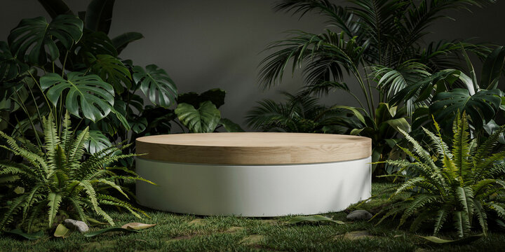 Round product showcase podium with wood texture in tropical green environment showcase tropical platform presentation greenery botanical minimalist background environment