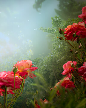 Fantasy roses flowers in magical blooming misty garden in fairy tale forest, fairytale floral foggy glade vertical background, tranquil landscape scene with copy space, dreamy atmospheric wallpaper.